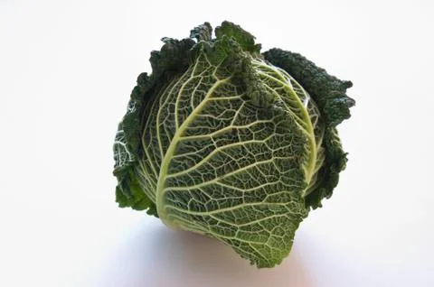 A savoy cabbage Stock Photos
