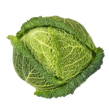 Savoy cabbage Foto stock