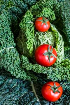Savoy cabbage Stock Photos