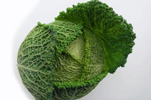 Savoy cabbage Foto stock