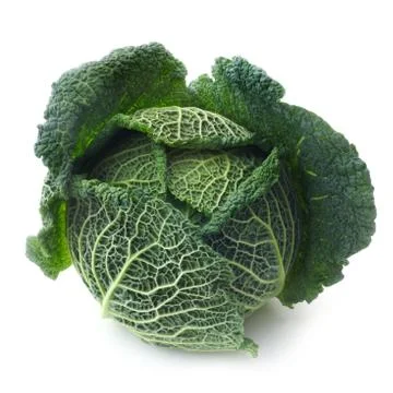 Savoy Cabbage Stock Photos