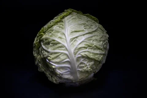 Savoy cabbage Photos