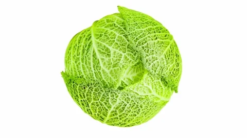 Savoy cabbage, rotating on white background Stock Footage 242358109