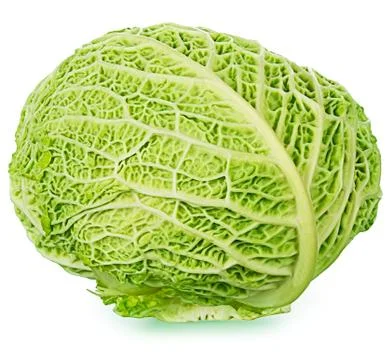 Savoy Stock Photos