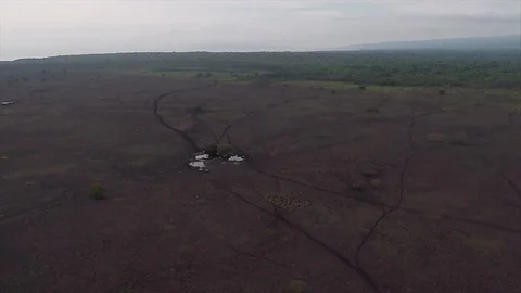 Savvana Expanse seen using drones in sumbawa indonesia Stock Footage 120157827