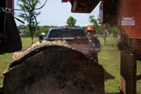 Saw blade breaks through end of log on portable sawmill 스톡 사진
