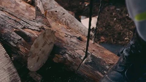 Saw cut wood with hand saw Stock Footage