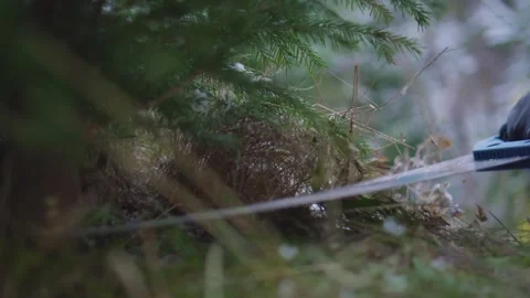 Saw is cutting christmas tree Stock-Footage 166505224