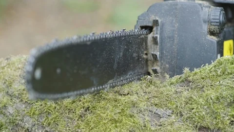 Saw cutting tree Stock Footage 111044641