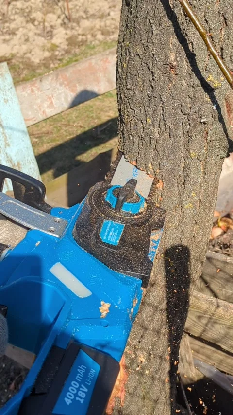 Saw cutting tree in a garden Video stock 267689853