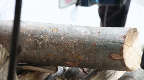 Saw cutting wood logs, deforestation, sawdust, firewood supplies, close up Stock Footage 40669787