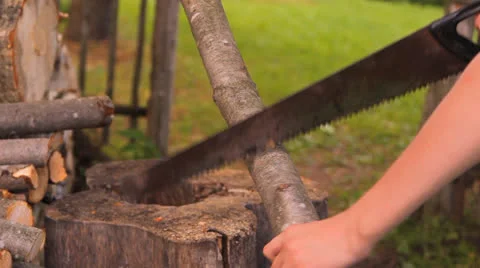 To saw firewood, a tree trunk the hand saw Stock Footage 25396867