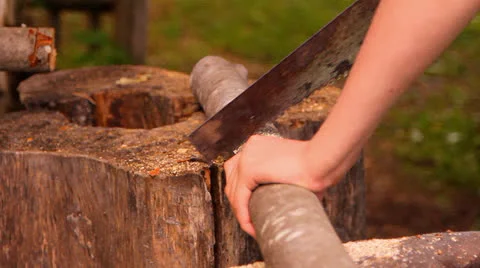 To saw firewood, a tree trunk the hand saw Vidéo 25400081