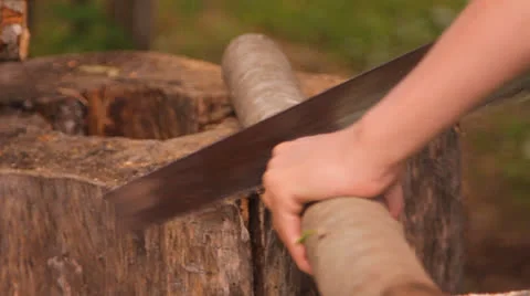 To saw firewood, a tree trunk the hand saw Video stock 25402174