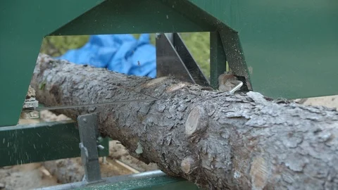 Saw mill cutting log tree outside in slow motion, 4k Video stock 114818723