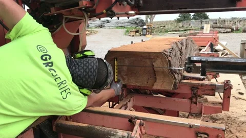 Saw Mill Stock Footage 131896795