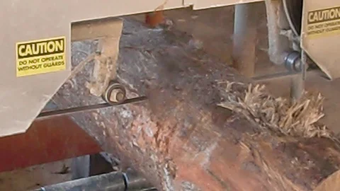 Saw mill trimming log Stock Footage 95258677