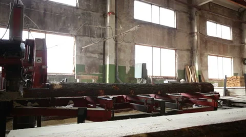 Saw processing log production machine Stock Footage 61036207