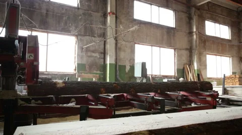 Saw processing log production machine Stock Footage 61036227