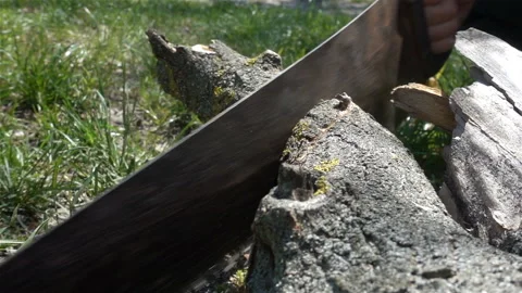 Saw saws a tree branch in slow motion Stock Footage 153656136