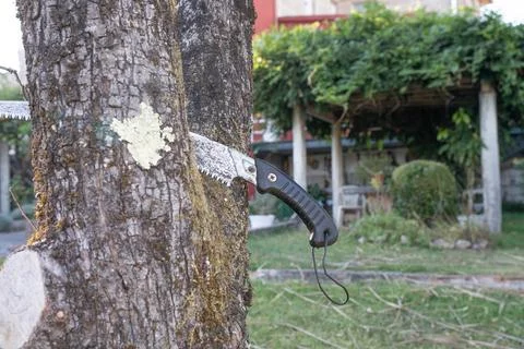 Saw on tree trunk Stock Photos