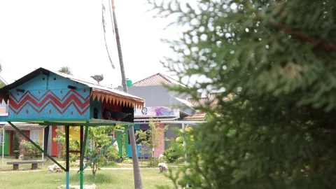 Saw two birds behind a tree Stock Footage 118429657