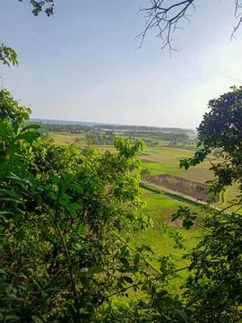 Sawah 写真素材