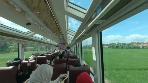 Sawah View Panoramic Train Inside View Stock Footage 305334267