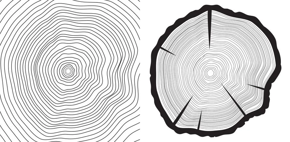 Sawcut tree trunk and tree-rings background イラスト素材