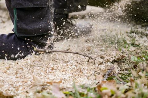 Sawdast falling on ground Foto stock
