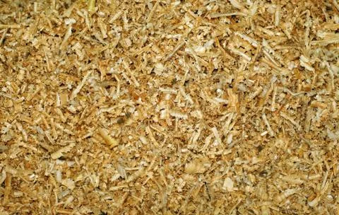 Sawdust as background Stock Photos