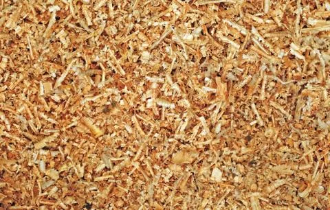 Sawdust as background Stock Photos