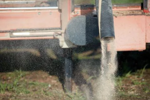 Sawdust being ejected from a milling machine Foto stock
