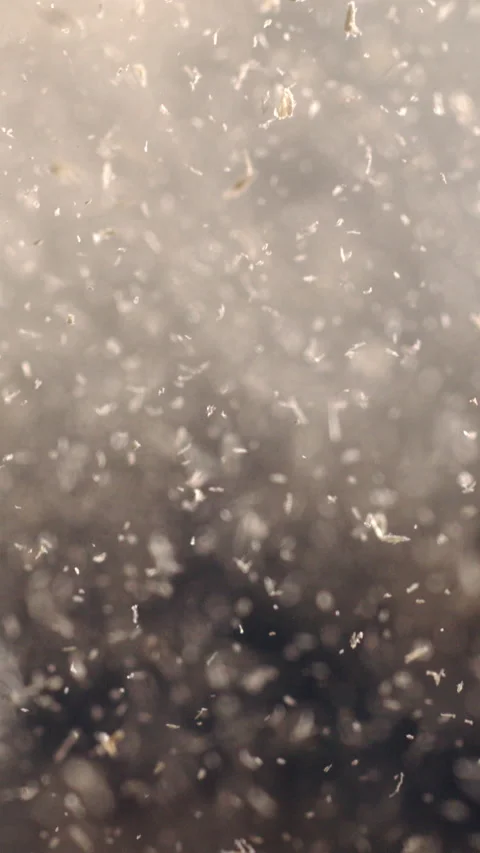 Sawdust Cascade: Vertical 4K Slow-Mo Footage Stock Footage 269129751