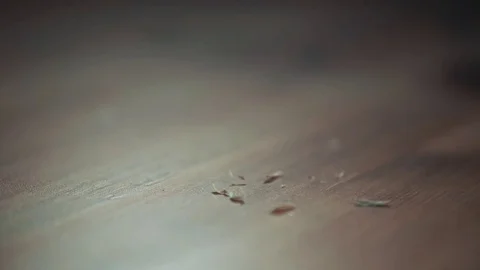 Sawdust falls on the board. close-up. Stock Footage 85312401