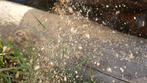 Sawdust flying under the chainsaw in slow motion. Stock Footage 70846464