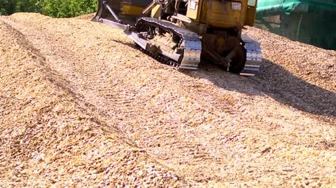 Sawdust Stock Footage 11687897