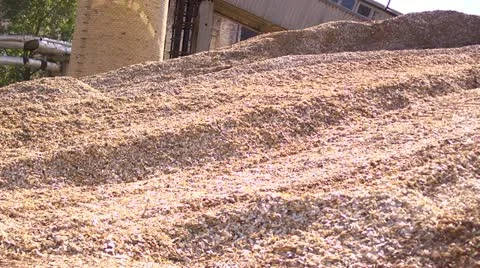 Sawdust Stock Footage 11688476