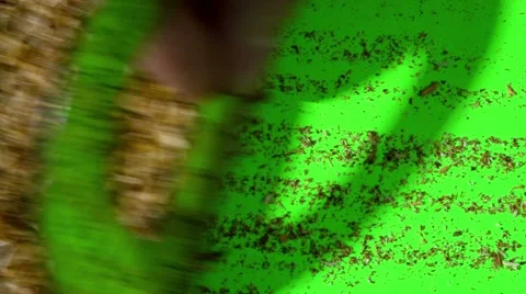 Sawdust on a Green Screen 스톡 동영상 55276035