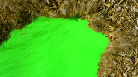 Sawdust on a Green Screen Stock Footage 55276175