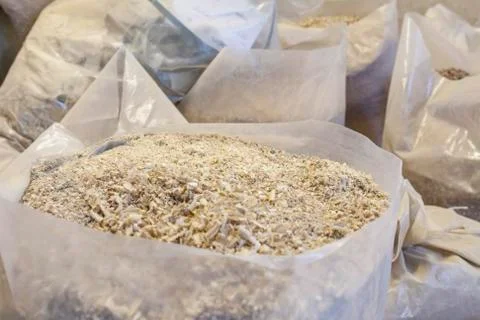 Sawdust Stock Photos