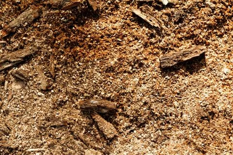 Sawdust Stock Photos