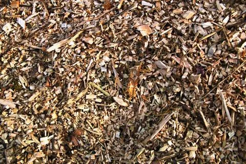 Sawdust Stock Photos
