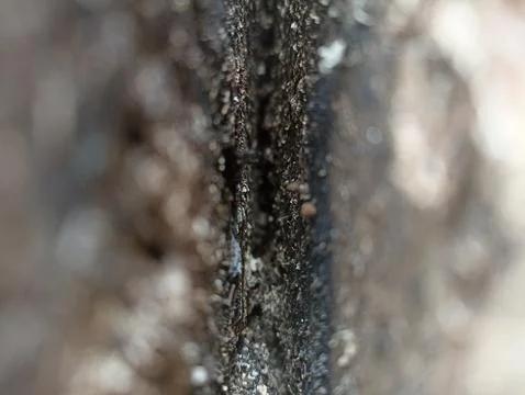Sawdust Stock Photos