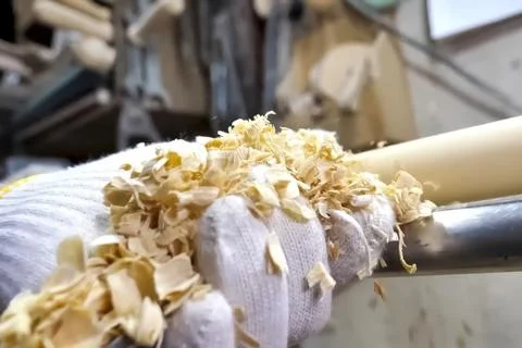 Sawdust shavings left after processing wooden block on a carpentry machine. Stockfoto's
