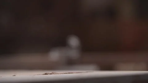 Sawdust in a workshop, fa01 Stock-Footage 278612808