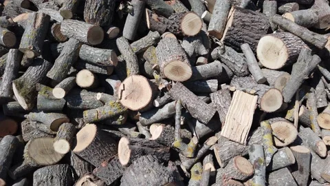 Sawed branches. tree trunks for heating stoves, fireplaces. Wooden logs. Stock Footage 142392909