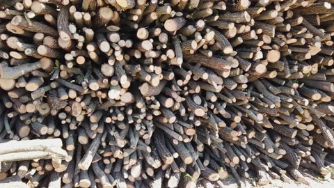 Sawed branches. tree trunks for heating stoves, fireplaces. Wooden logs. Vidéo 142392915