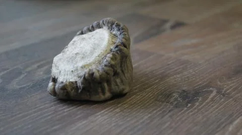 Sawed off deer antlers Foto stock