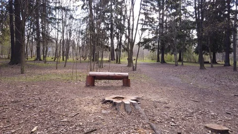 Sawed log bench in the park Stock Footage 129417627